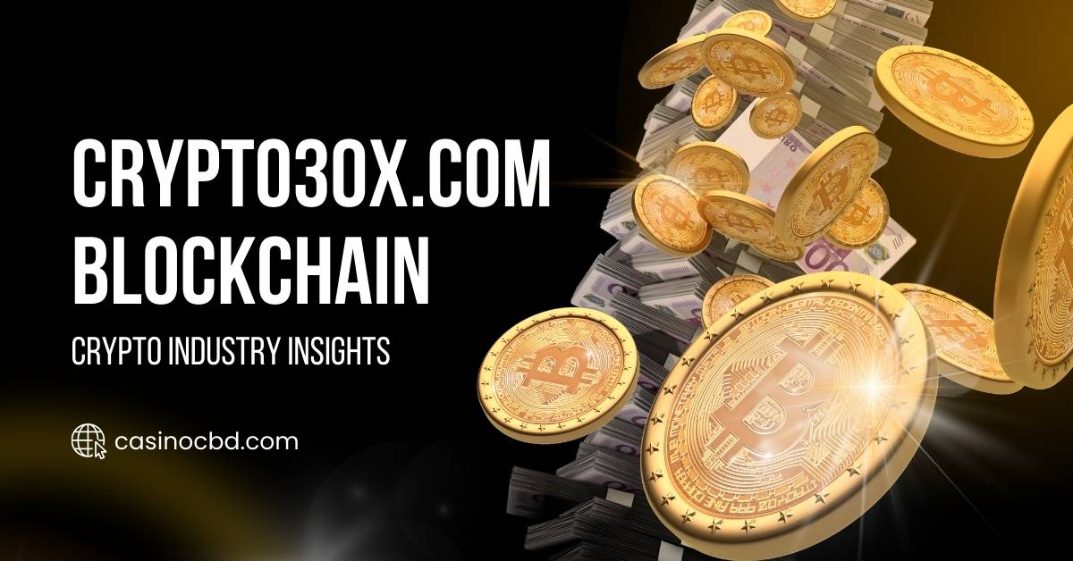 Crypto30x.com Blockchain: Insights of the Dynamic World of Crypto